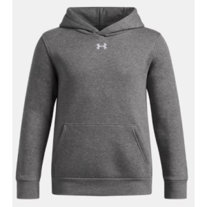 Youth Under Armour Team Icon Hooded Sweatshirt